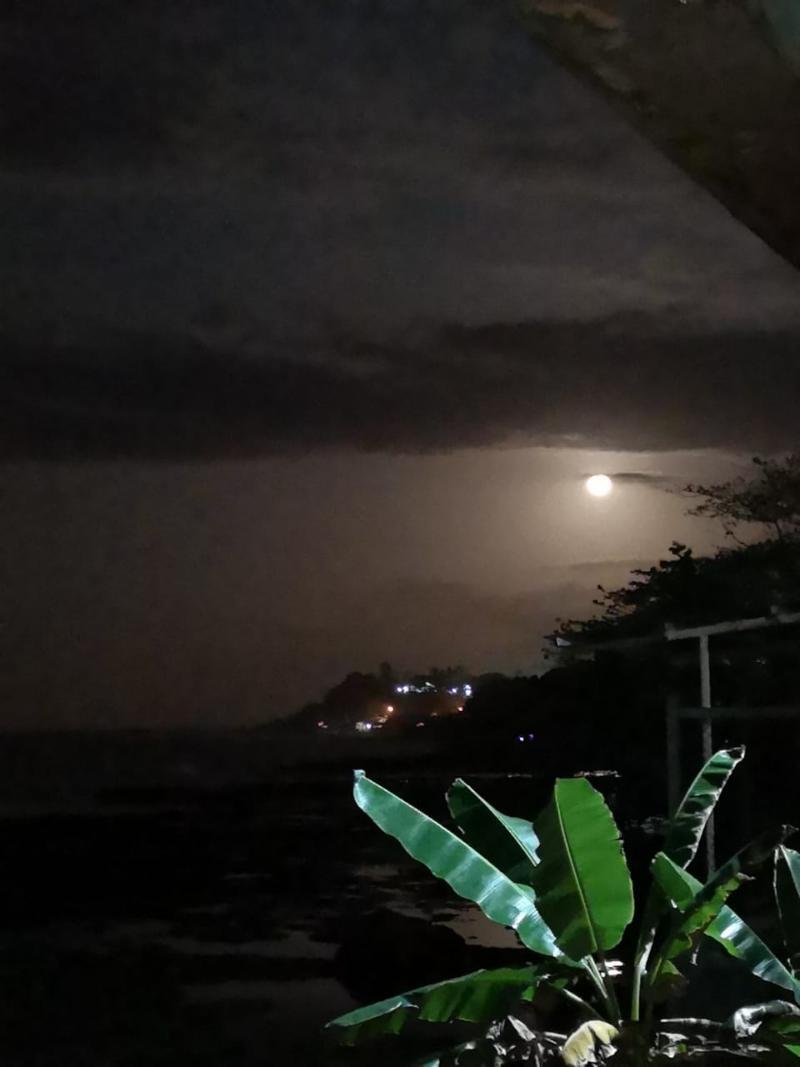 Hotel Playa Bonita プエルト・リモン エクステリア 写真
