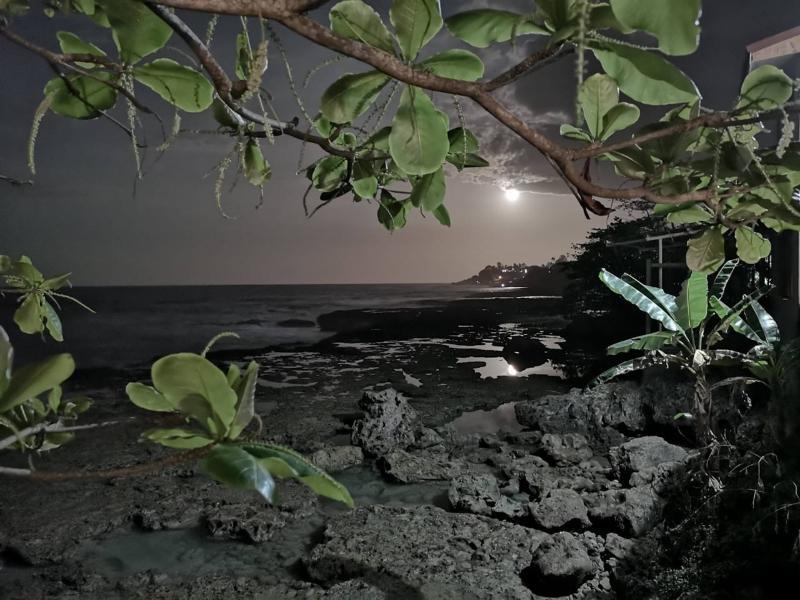 Hotel Playa Bonita プエルト・リモン エクステリア 写真